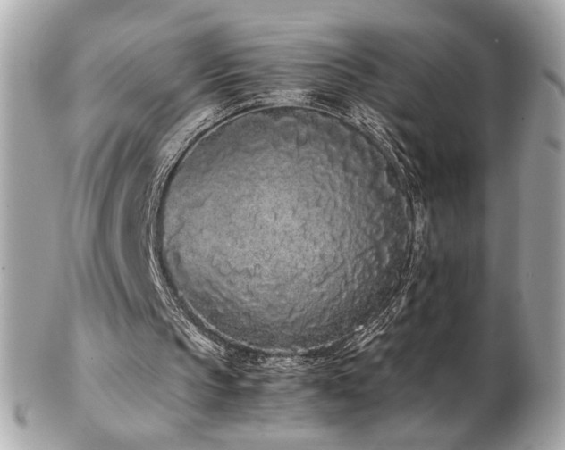X0000103270145200808291248