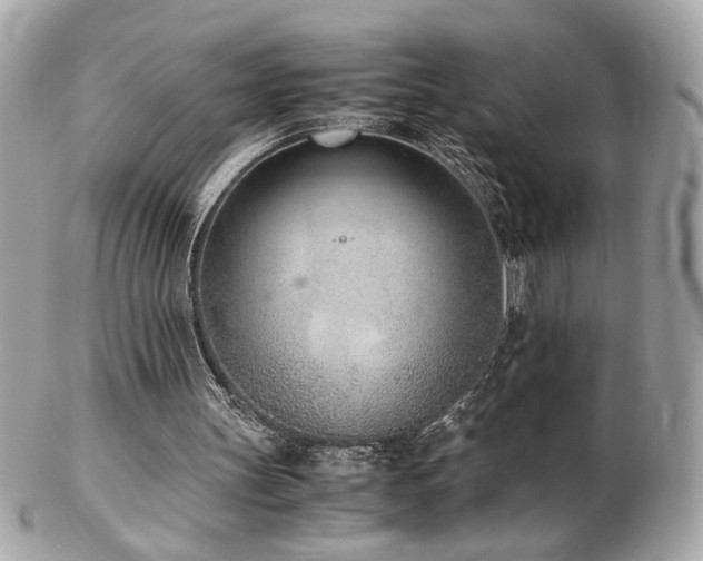 X0000103270147200808291248