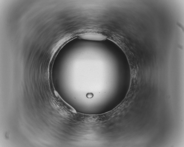 X0000103270148200808291248