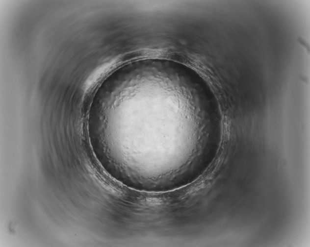 X0000103270149200808291248