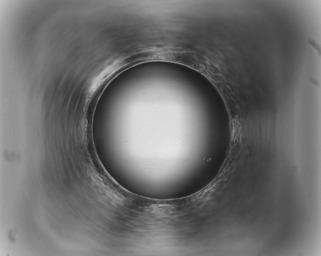 X0000103270150200808291248