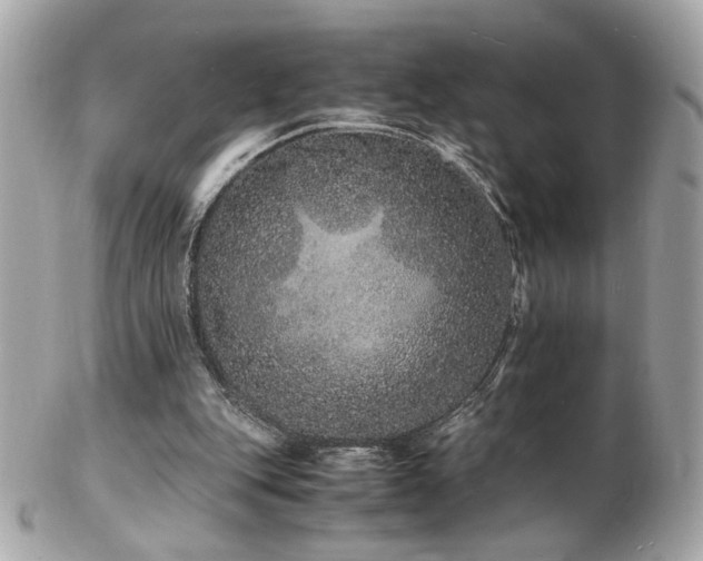 X0000103270151200808291248