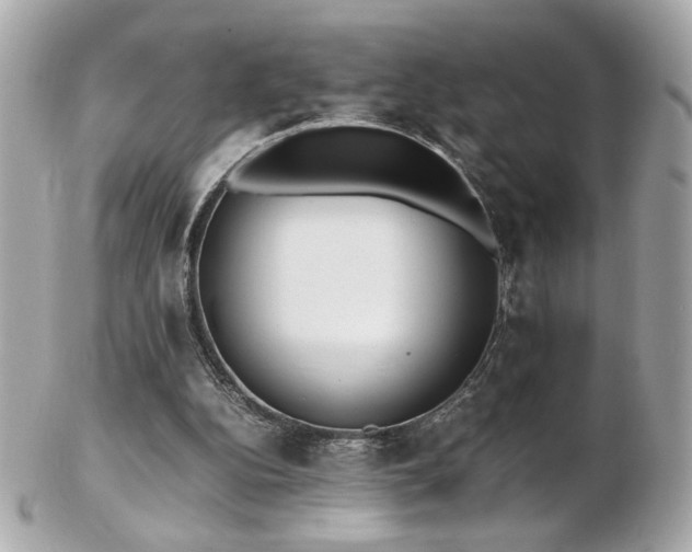 X0000103270152200808291248