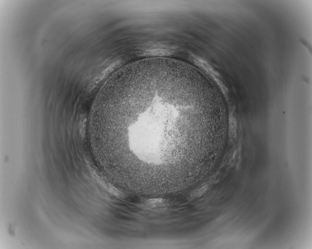 X0000103270153200808291248