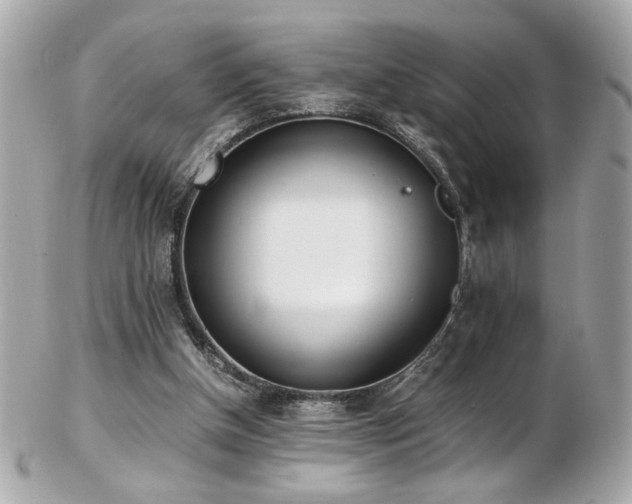 X0000103270154200808291248
