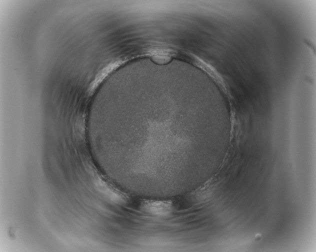 X0000103270155200808291248