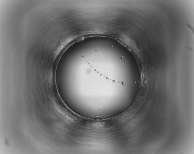 X0000103270156200808291248