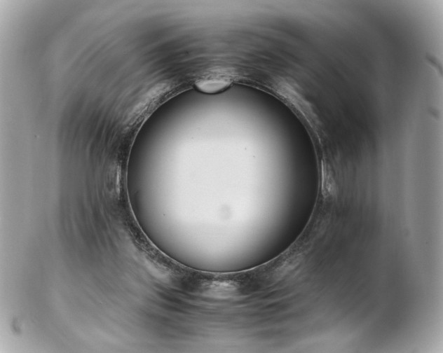 X0000103270157200808291248
