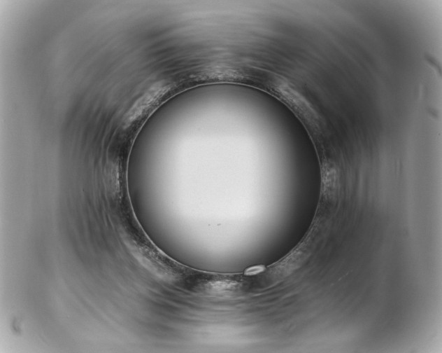X0000103270158200808291248