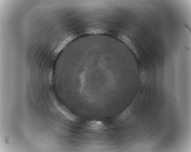 X0000103270159200808291248