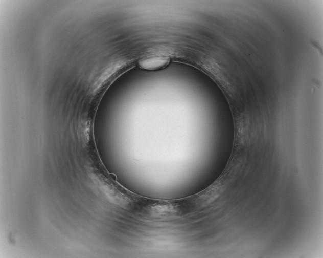 X0000103270160200808291248