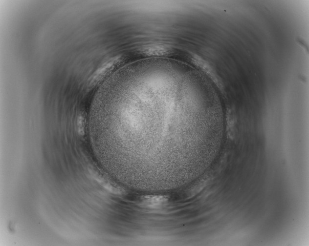 X0000103270161200808291248