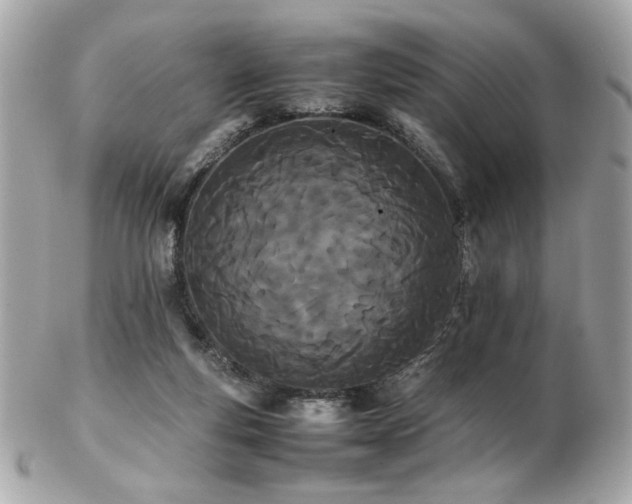 X0000103270163200808291248