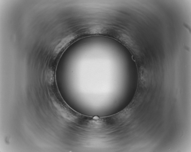 X0000103270164200808291248