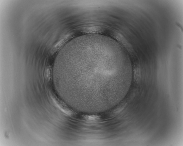 X0000103270165200808291248