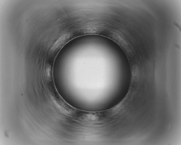 X0000103270166200808291248