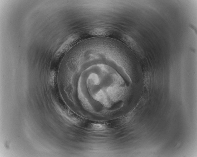 X0000103270167200808291248