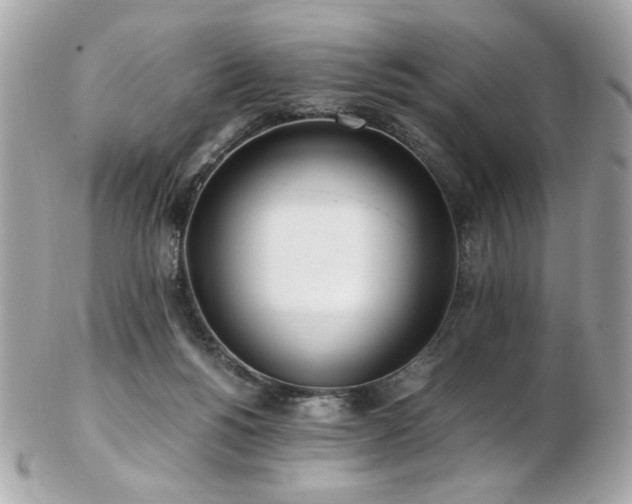 X0000103270168200808291248