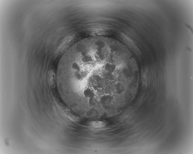 X0000103270169200808291248