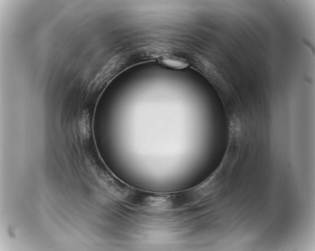 X0000103270170200808291248