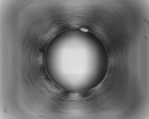 X0000103270174200808291248