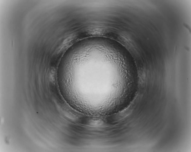 X0000103270175200808291248