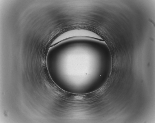 X0000103270176200808291248