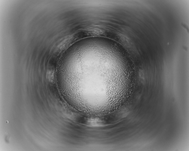 X0000103270177200808291248