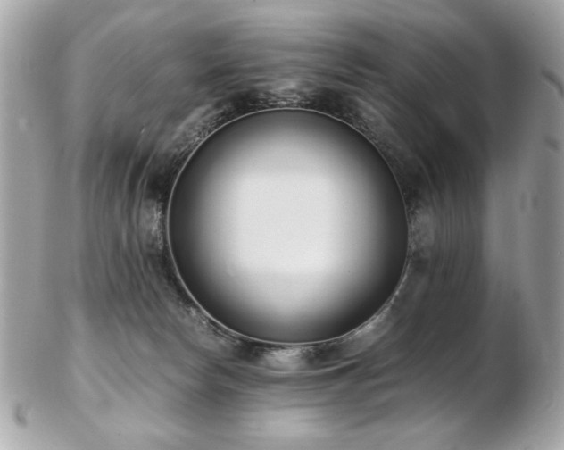 X0000103270178200808291248