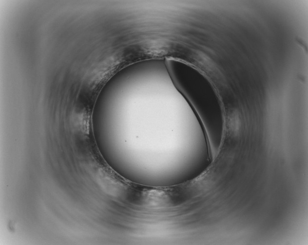X0000103270180200808291248