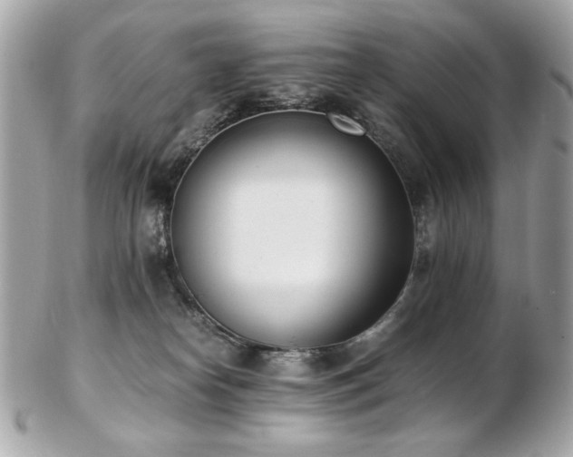 X0000103270182200808291248
