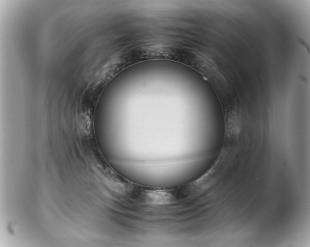 X0000103270183200808291248