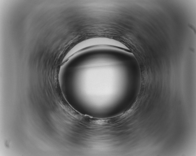 X0000103270184200808291248