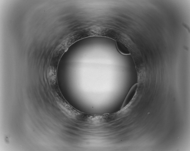 X0000103270186200808291248