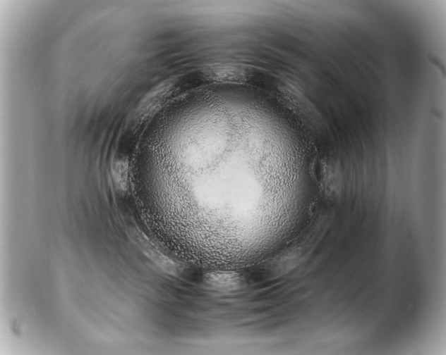 X0000103270189200808291248