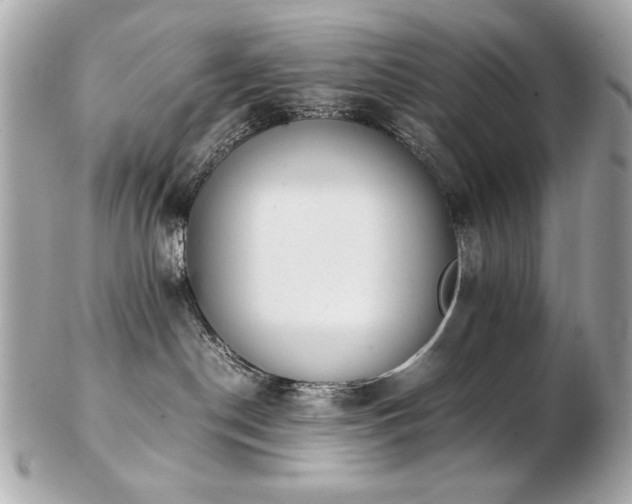 X0000103270190200808291248