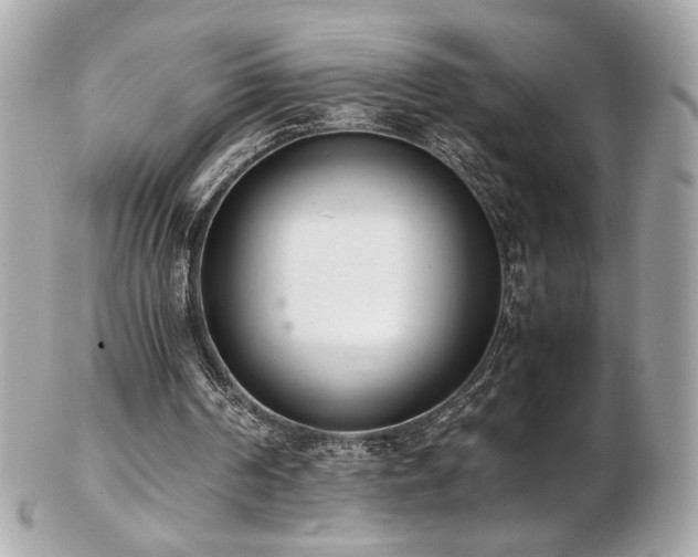 X0000103270194200808291248