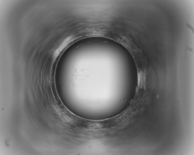 X0000103270195200808291248
