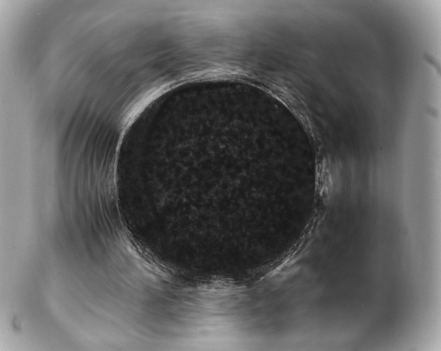 X0000103270196200808291248