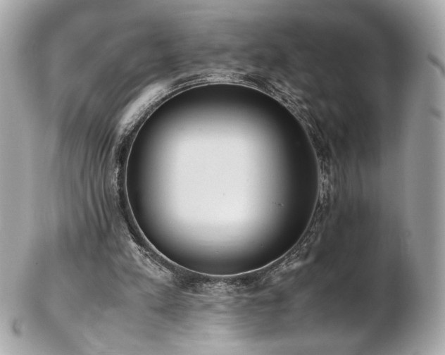 X0000103270197200808291248
