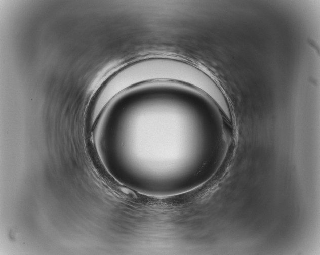 X0000103270199200808291248