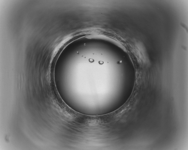 X0000103270200200808291248