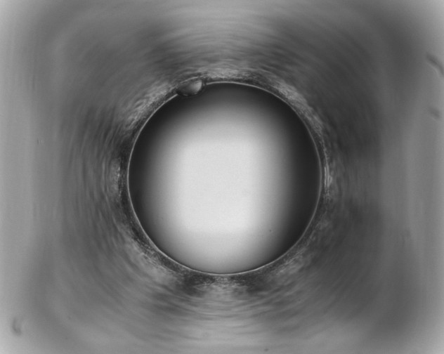 X0000103270201200808291248