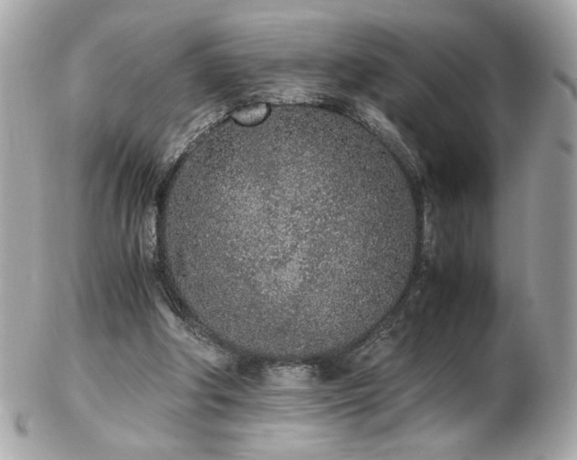 X0000103270202200808291248