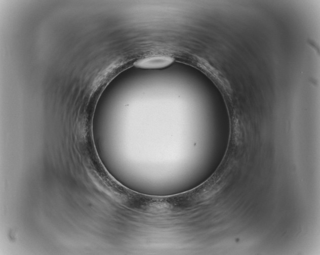 X0000103270203200808291248