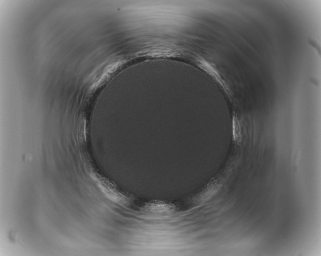 X0000103270205200808291248