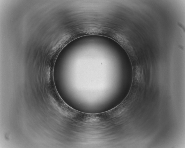 X0000103270206200808291248