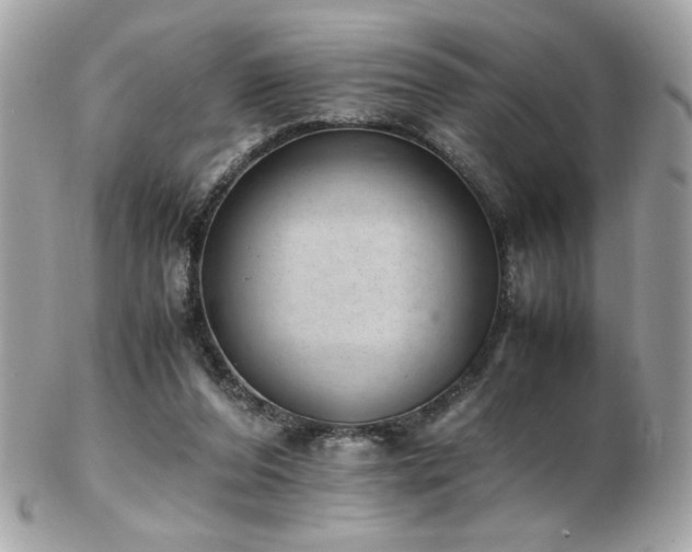 X0000103270208200808291248