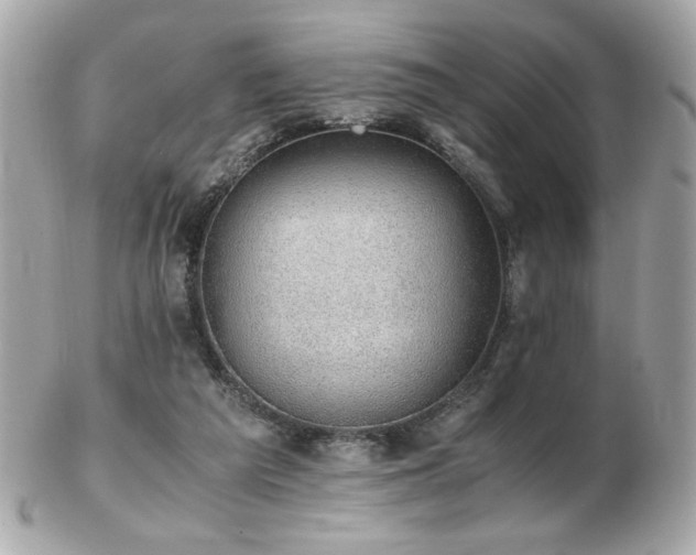 X0000103270209200808291247