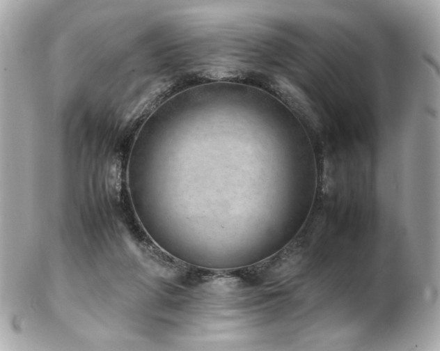 X0000103270210200808291247